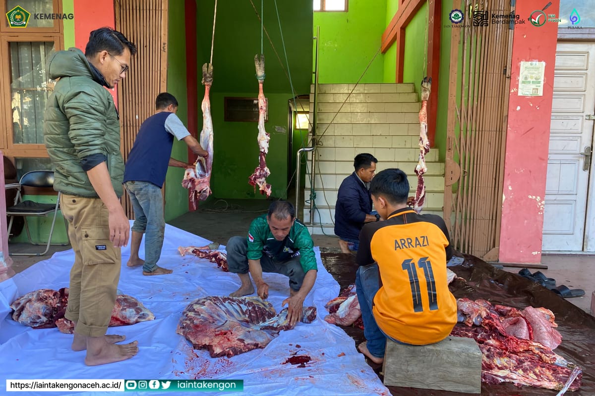 IAIN Takengon Sembelih 20 Ekor Sapi Qurban, Wujud Kebersamaan dan Kepedulian Sosial