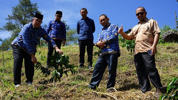 Rektor IAIN Takengon Monitoring Wakaf Produktif, Pohon Kopi Mulai Berbuah